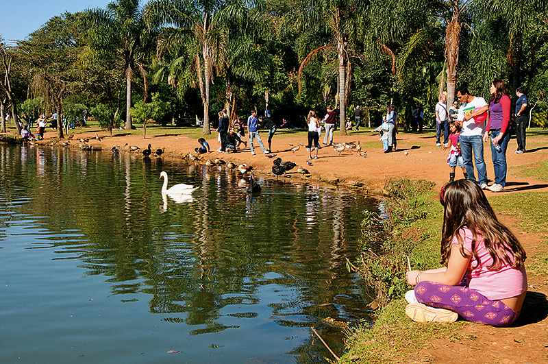 Parque do Ibirapuera: Rotary Club organiza fim de semana com atividades especiais