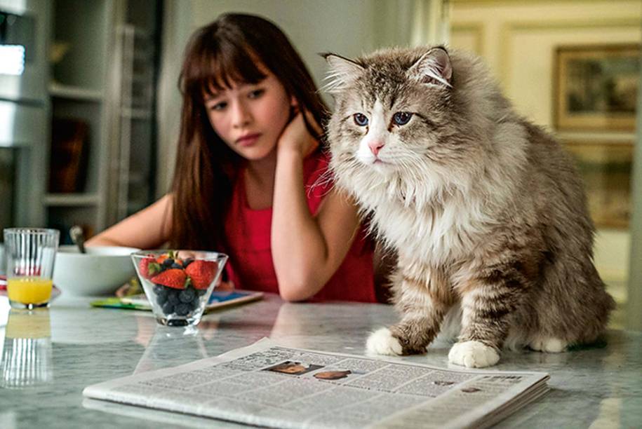 Voando Alto: Taron Egerton e Hugh Jackman, o competidor e seu treinador Voando Alto: Taron Egerton e Hugh Jackman, o competidor e seu treinador