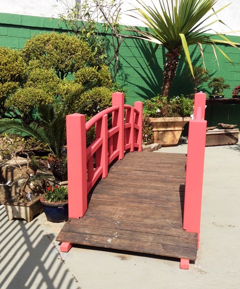 Bonsai Okuda - Clube do Bonsai Bonsai Okuda - Clube do Bonsai