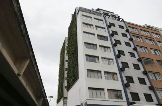 jardim vertical minhocão