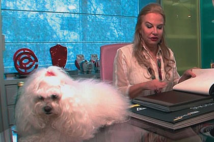 A dama e o vagabundo