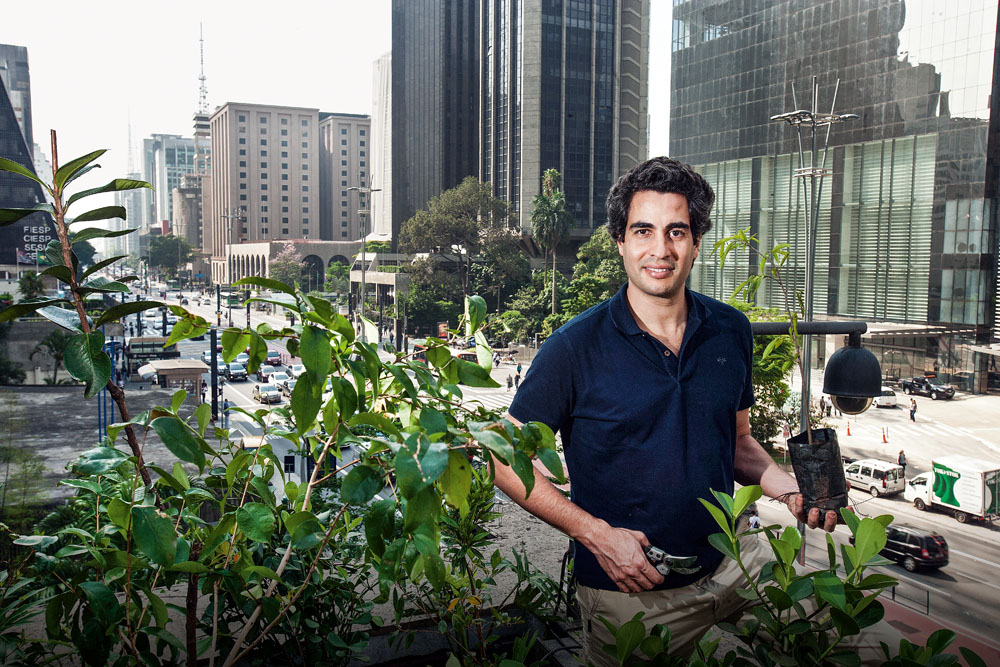 Paulista ganha jardim suspenso com plantas ameaçadas de extinção