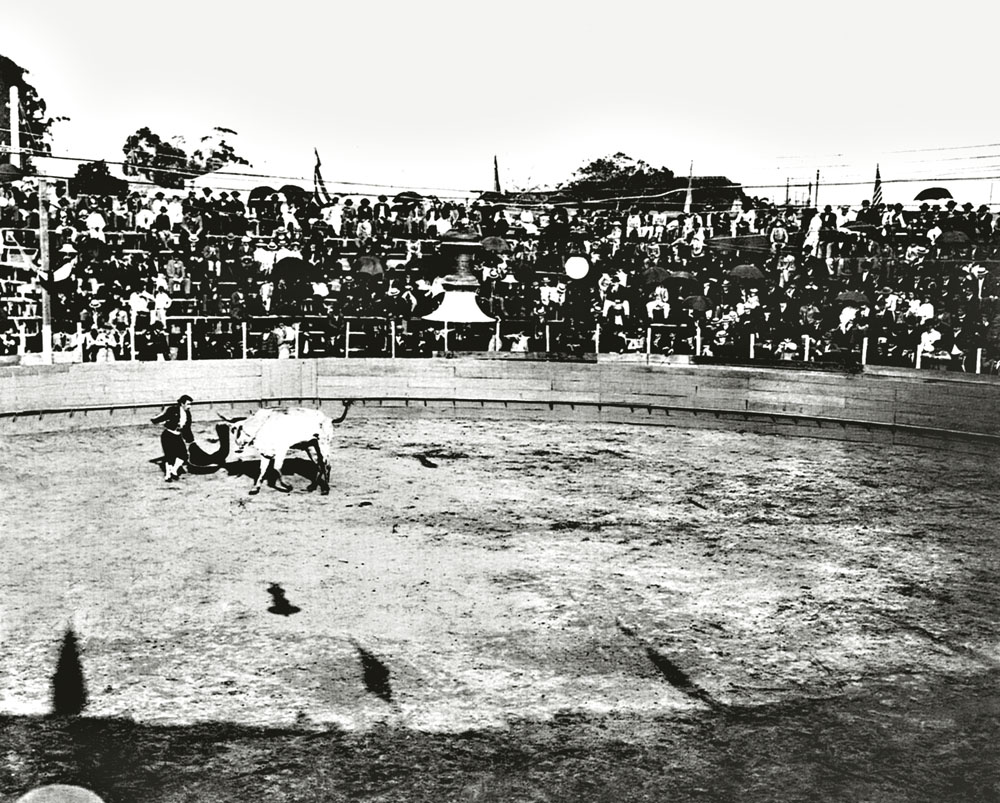 Livro recupera curiosidades da medicina veterinária em São Paulo