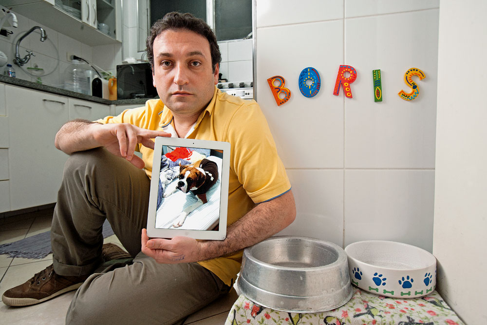 Casais separados procuram a Justiça para definir guarda dos pets