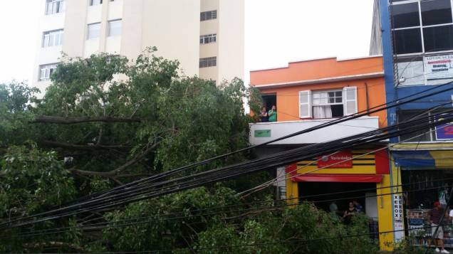 Angência de empregos atingida no local Angência de empregos atingida no local
