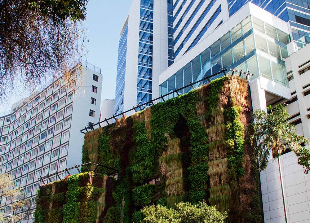 Jardim Vertical - Hospital Sírio-Libanês