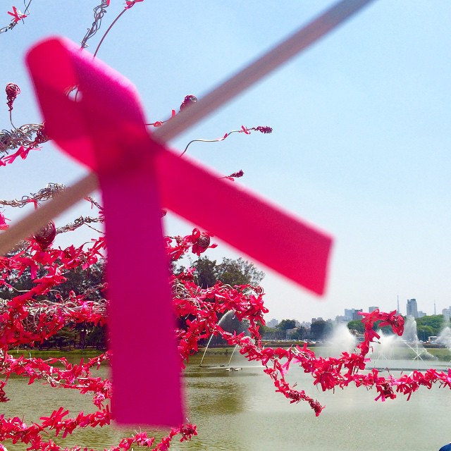 Foto finalista da missão do Instagram 'Outubro Rosa: a cidade iluminada', por @diegospaiva