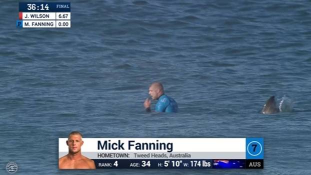 Surfista tricampeão mundial é atacado por tubarões na África do Sul