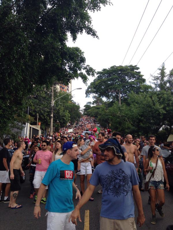 O bloco Vai Você em Dobro animou as ruas de Pinheiros O bloco Vai Você em Dobro animou as ruas de Pinheiros