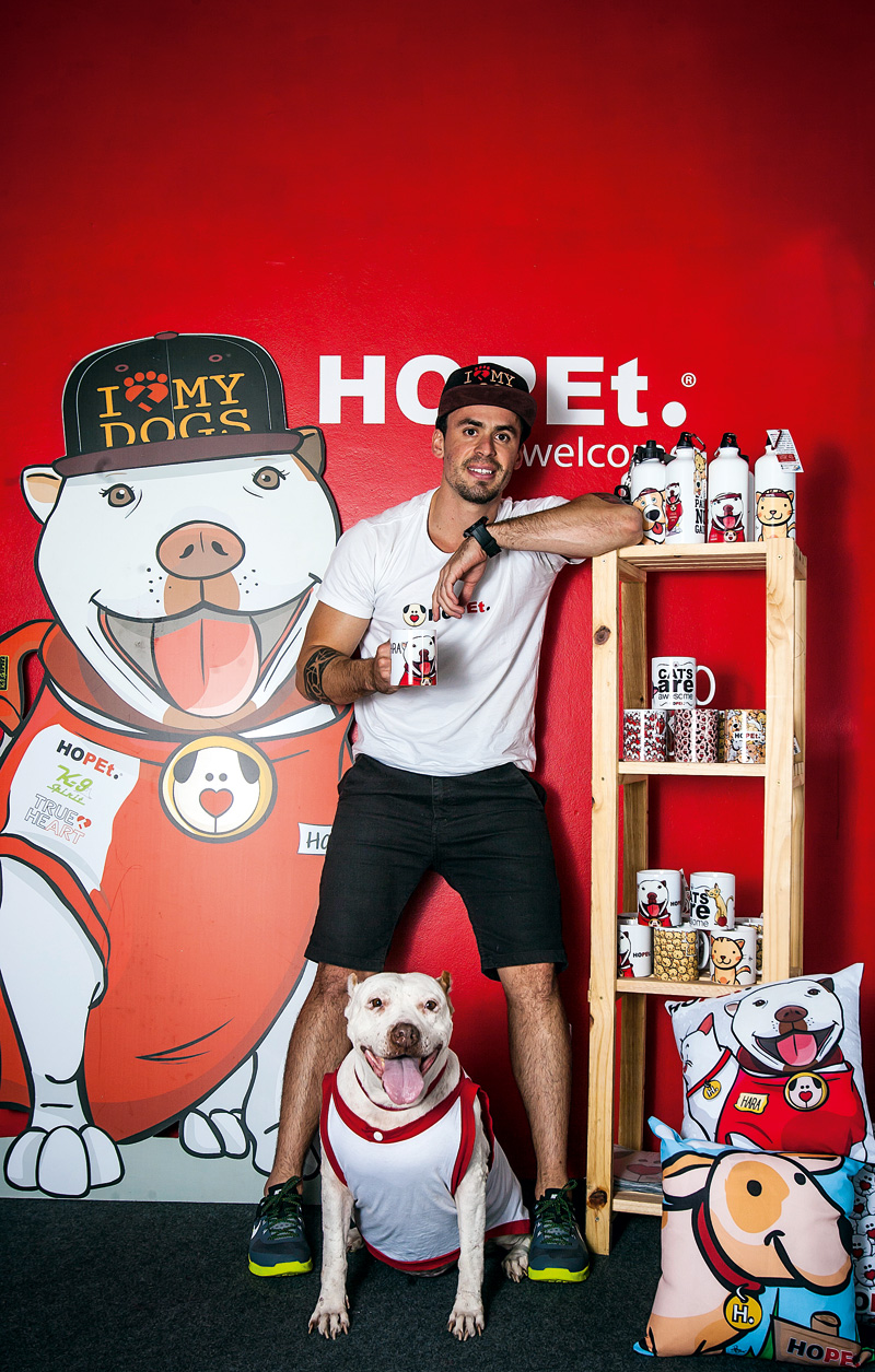 Designer arrecada fundos para ajudar cães e gatos resgatados