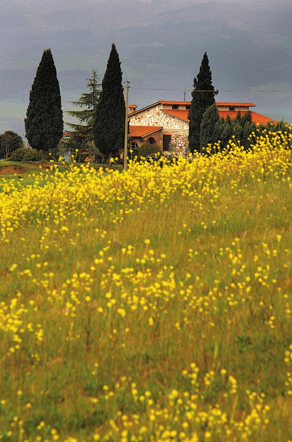 Toscana CCC