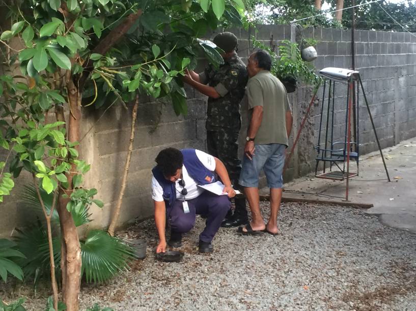 	Funcionária retira vaso de planta com água parada na casa de morador do Limão