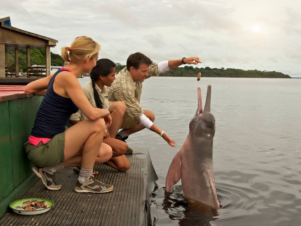 Os melhores cruzeiros e passeios de barco pela Amazônia