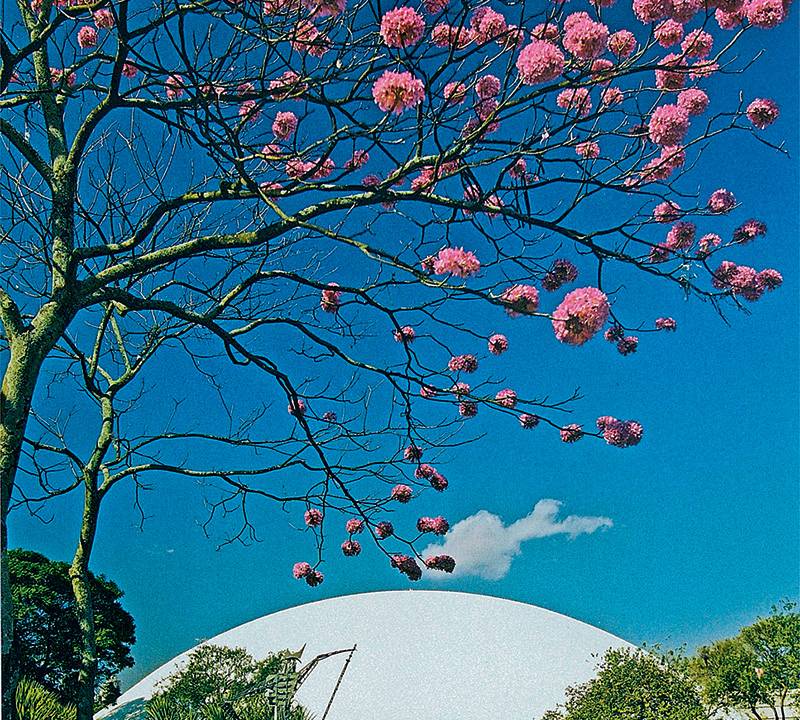 Misterios da Cidade Ed. 51- Foto feita por Tetsuo Segui que está no livro Parque Ibirapuera
