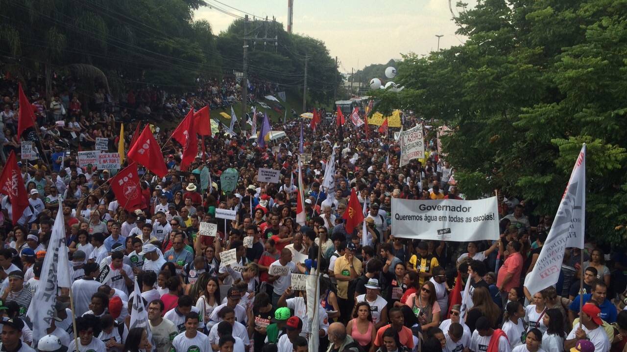 greve professores