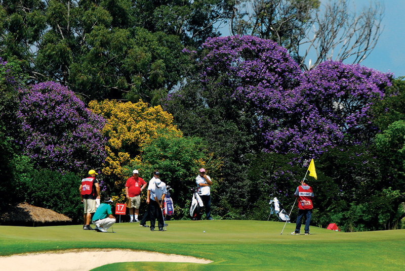 golfe Brasil Champions