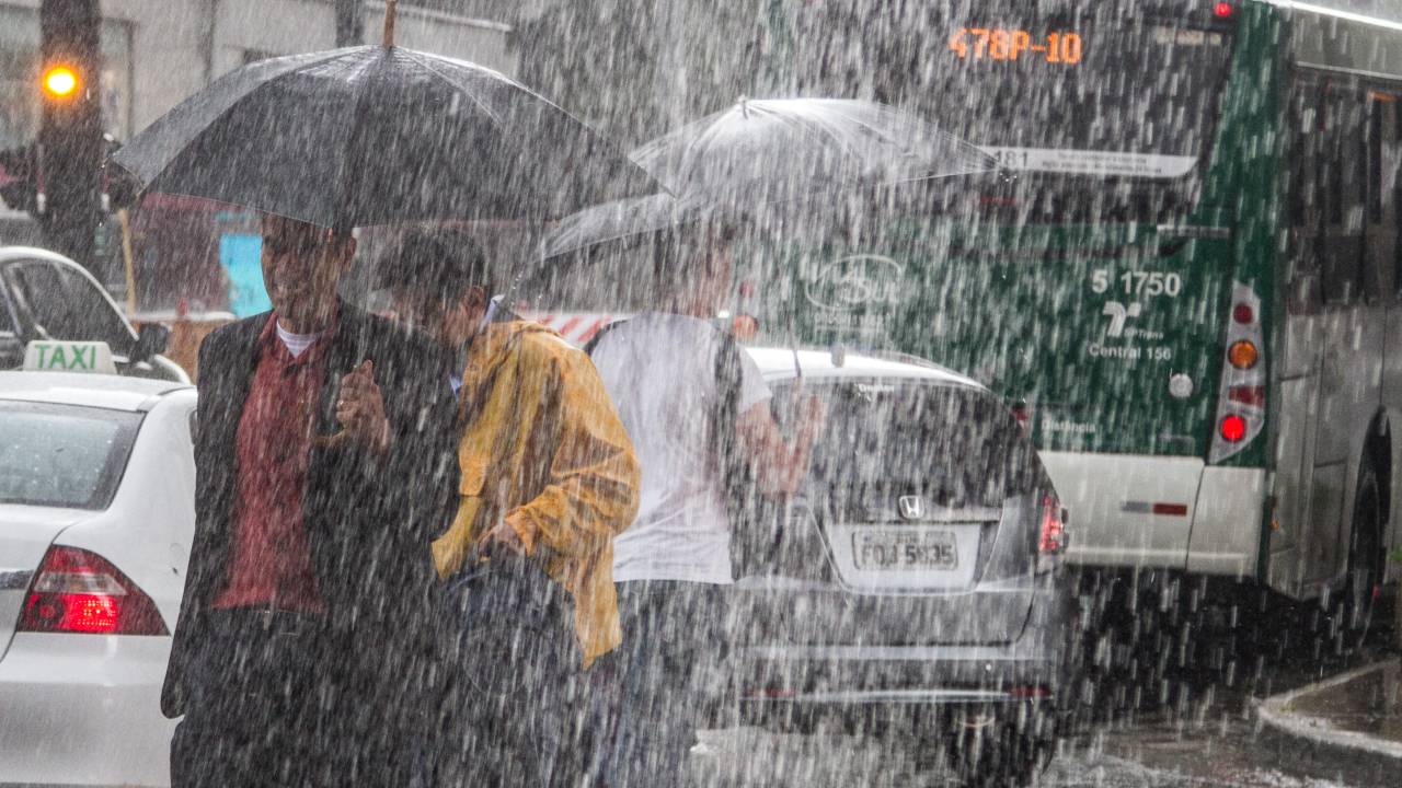Chuva paulista