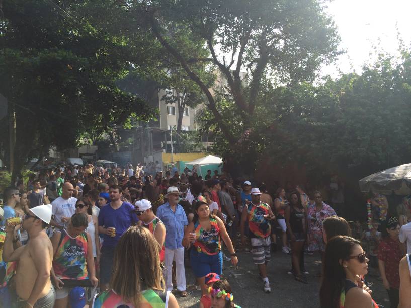 	Foliões se concentraram entre as ruas Colonização e Arapiraca