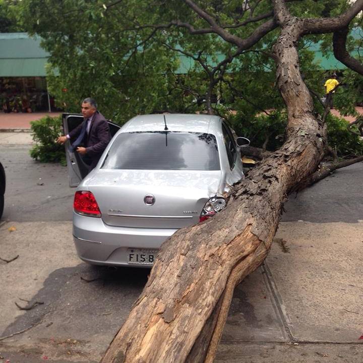 Carro 3