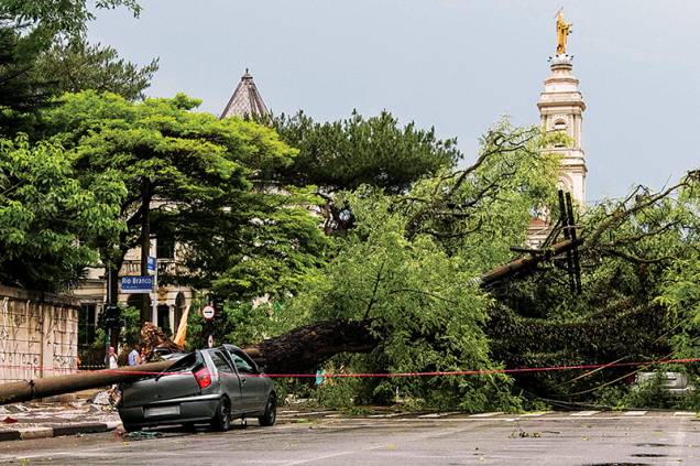 No início deste ano, árvore tombada no centro amassou carro No início deste ano, árvore tombada no centro amassou carro