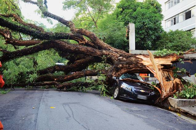 A chuva forte do dia 8 de janeiro fez com que uma árvore caísse sobre um carro estacionado na Alameda Casa Branca, na região dos Jardins A chuva forte do dia 8 de janeiro fez com que uma árvore caísse sobre um carro estacionado na Alameda Casa Branca, na região dos Jardins