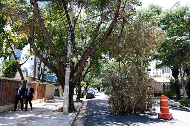 Avenida Horácio Lafer interditada por causa de queda de árvore no dia 8 de janeiro Avenida Horácio Lafer interditada por causa de queda de árvore no dia 8 de janeiro