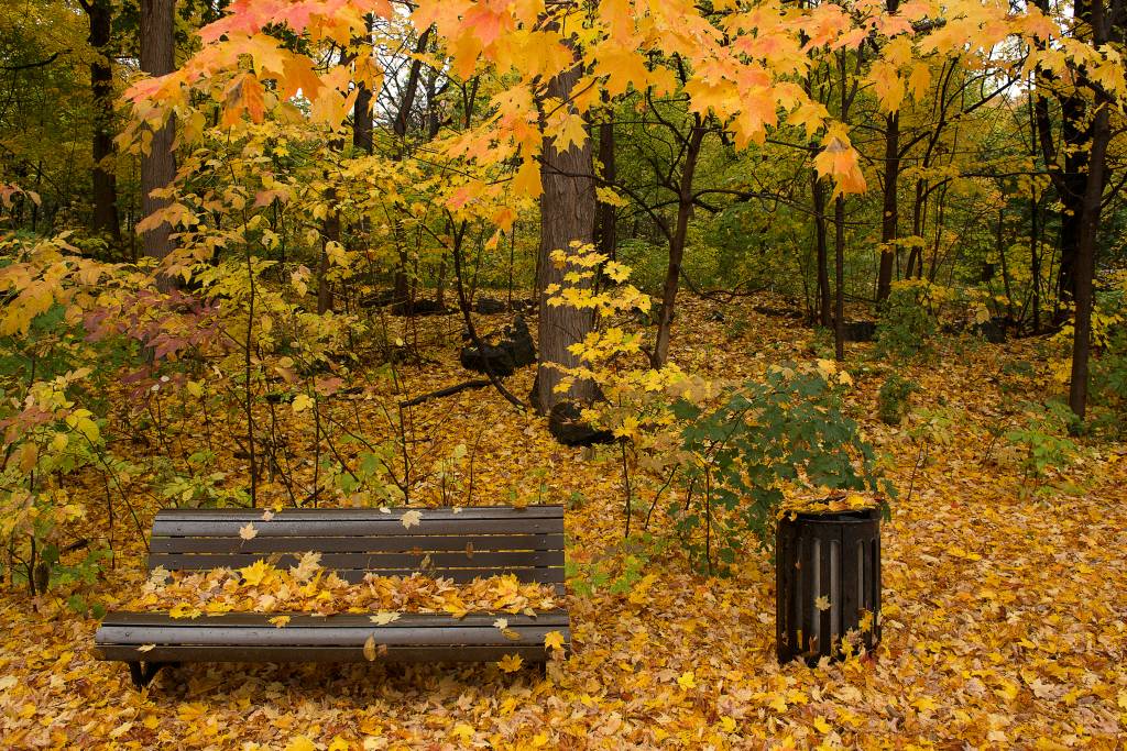 Mostra de fotografia na Estação Pinacoteca é cancelada no dia da abertura