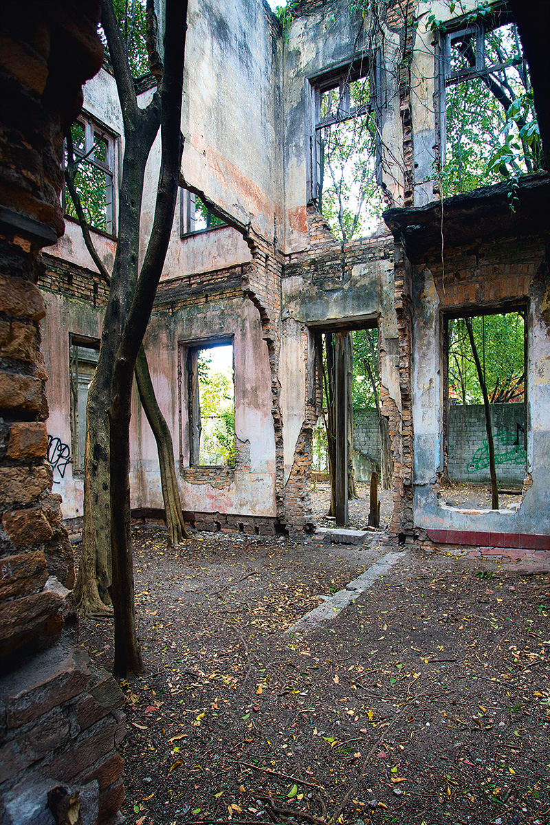 Espetáculo de dança recupera a memória da Vila Maria Zélia