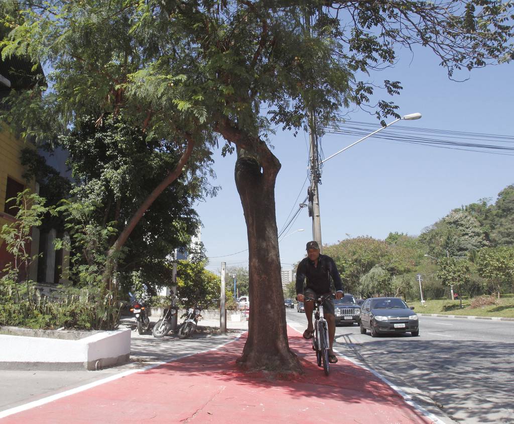 Nova ciclovia da Zona Oeste tem árvore e poste no meio caminho