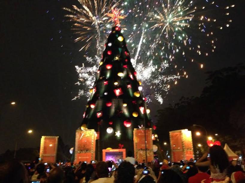 Inauguração da árvore de Natal do Ibirapuera - 8/12/13