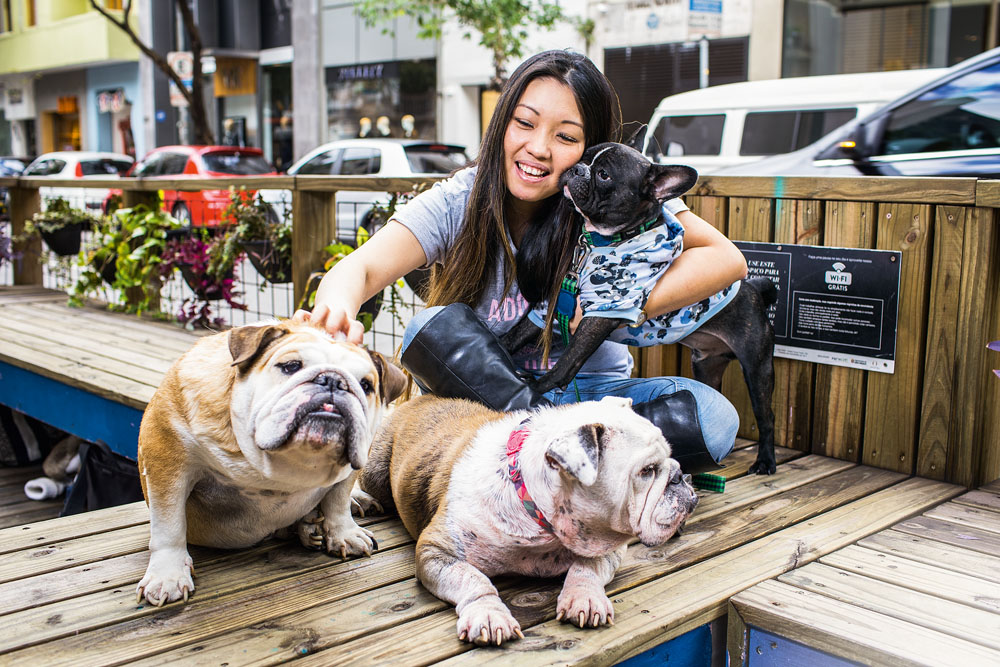 Protetores especializados resgatam e doam cães de raça