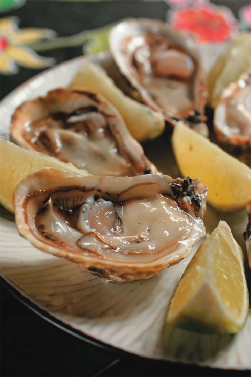 Peixes e frutos do mar compõem pratos e petiscos de oito endereços