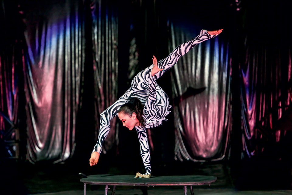 Espetáculos de circo que fazem temporada na capital