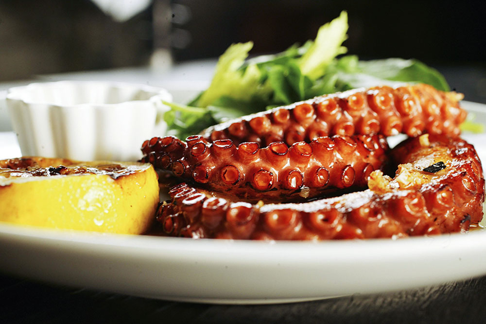 Seis apetitosos pratos com polvo