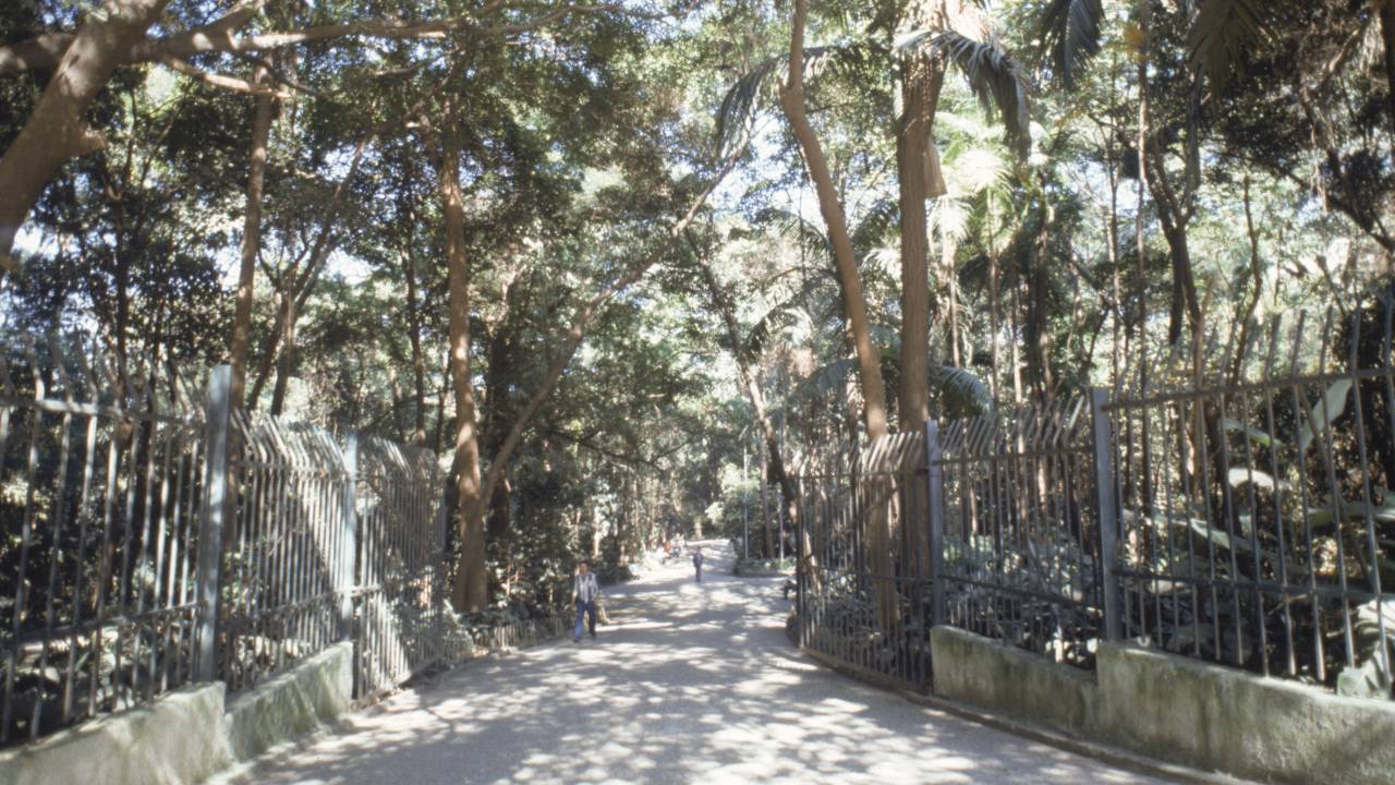Parque Trianon