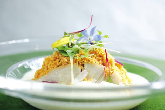 Peixe do dia ao tucupi: assentado sobre banana-da-terra e coberto por um mix crocante Peixe do dia ao tucupi: assentado sobre banana-da-terra e coberto por um mix crocante