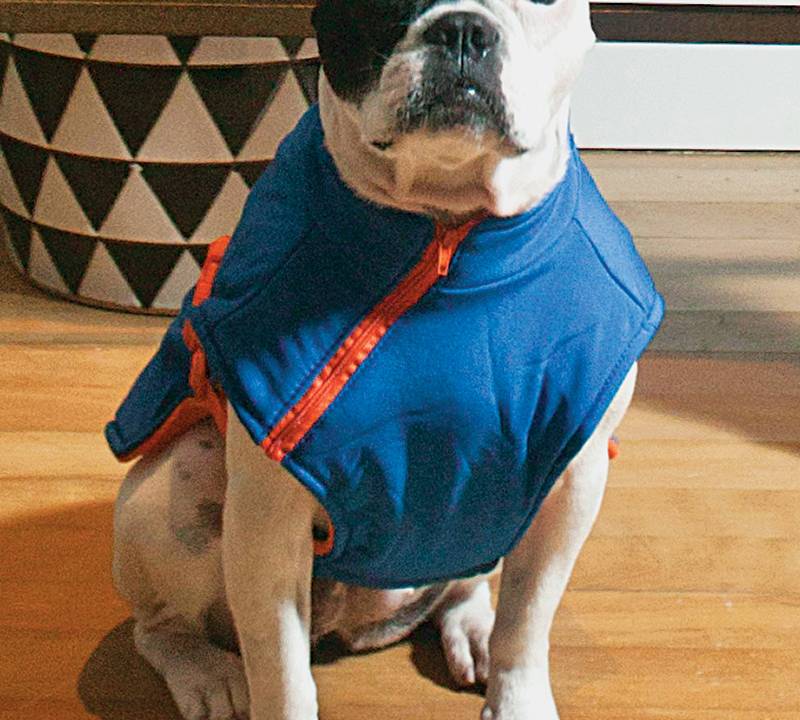 Roupa para cachorro TopDog