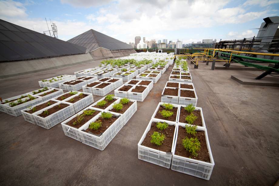 Horta no teto do Shopping Eldorado Horta no teto do Shopping Eldorado