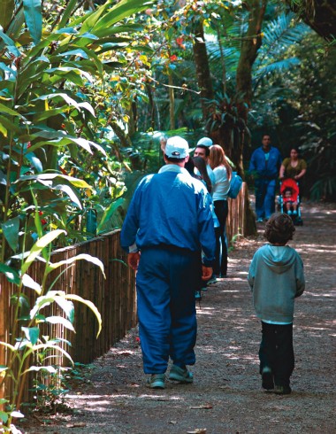 Parque Burle Marx - Inverno agradável - 2224
