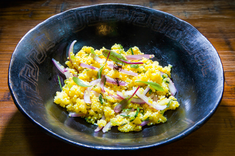 Dalva e Dito: miniarroz com leite de castanha, camarão aviú e formiga para decorar e o pirarucu ao leite de coco e semente de puxuri