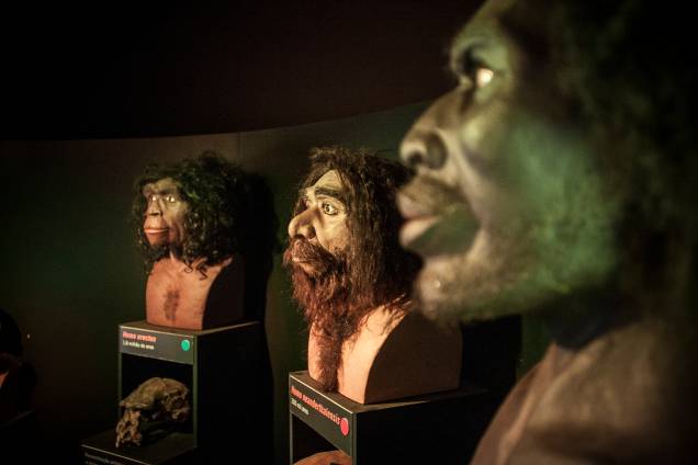 O que deve fazer mais sucesso é o setor que mostra bustos com a reconstituição do rosto de cinco hominídeos O que deve fazer mais sucesso é o setor que mostra bustos com a reconstituição do rosto de cinco hominídeos