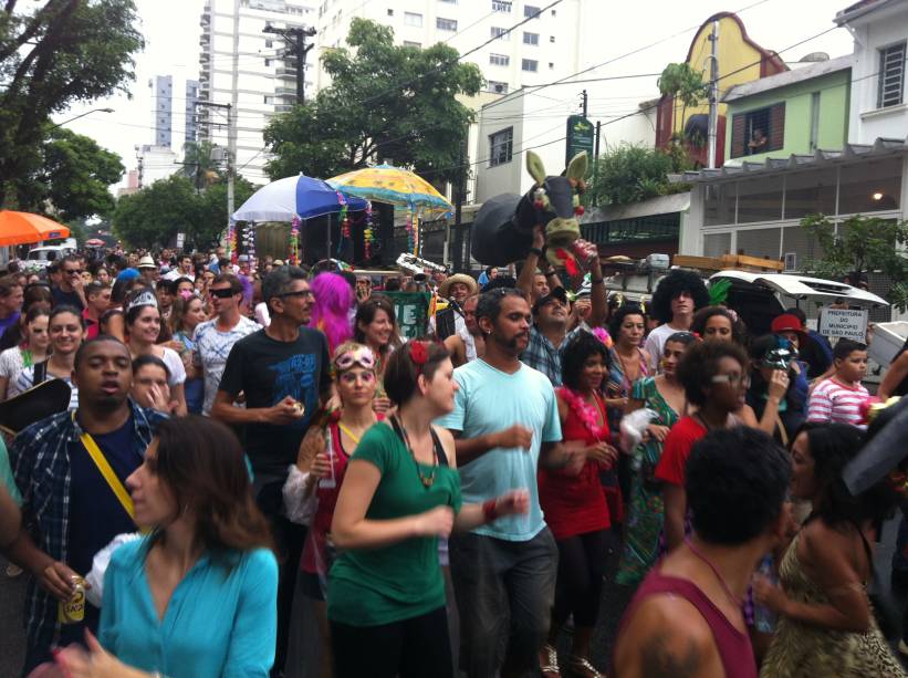 Os foliões do bloco de Carnaval Jegue Elétrico