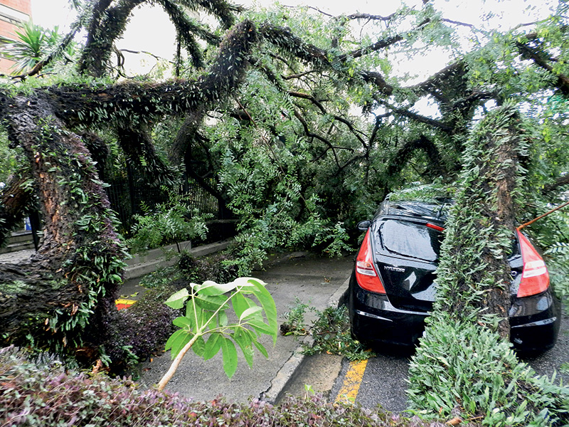 Estragos em Pinheiros