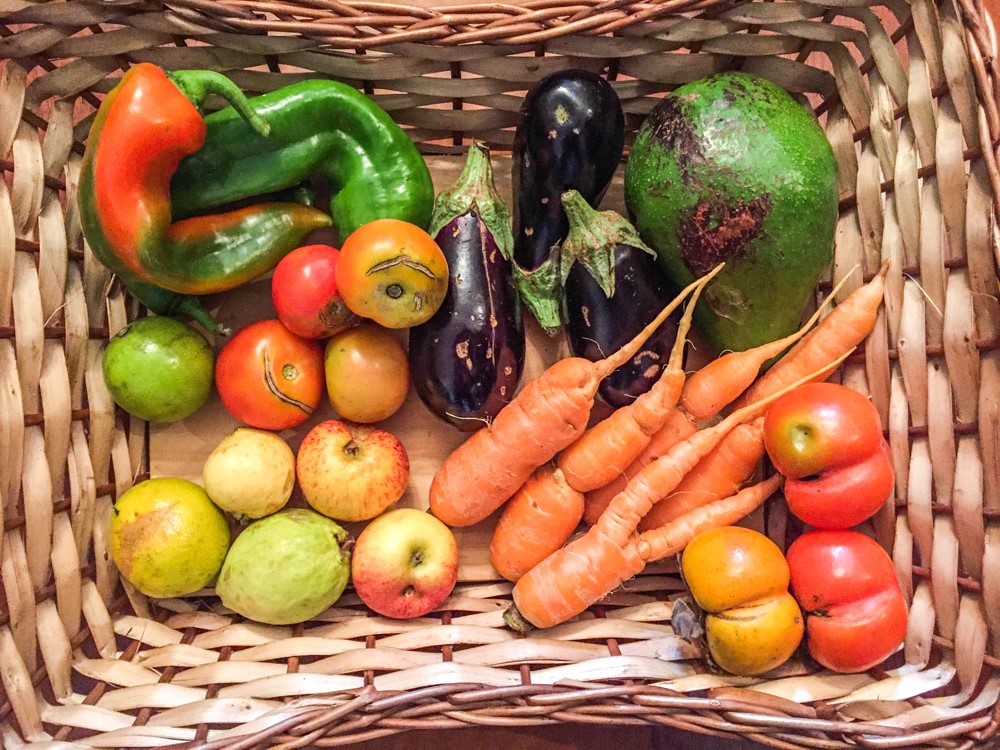 Projeto vende frutas consideradas feias por preços mais camaradas