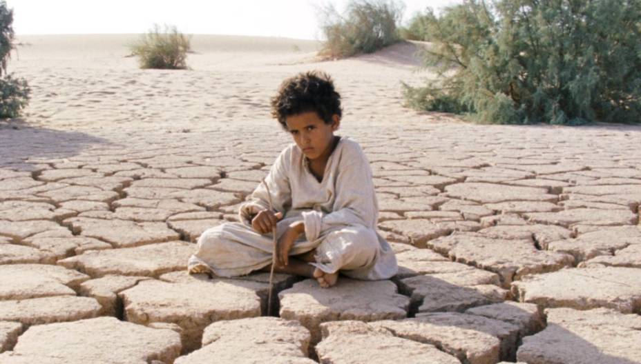 O Lobo do Deserto