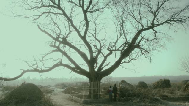 A Vida Após a Vida (2016), de Zhang Hanyi A Vida Após a Vida (2016), de Zhang Hanyi