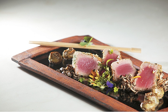 Atum crocante empanado em farinha japonesa com ervas guarnecido de cogumelos orientais e alcachofrinha: todo o frescor do mar Atum crocante empanado em farinha japonesa com ervas guarnecido de cogumelos orientais e alcachofrinha: todo o frescor do mar