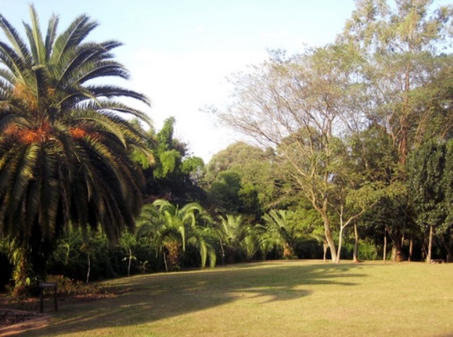 Parque Anhanguera anhanguera.jpeg