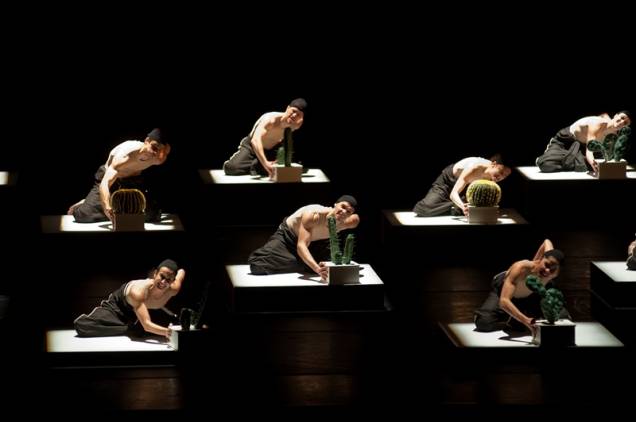 Cacti: coreografia do Balé da Cidade Cacti: coreografia do Balé da Cidade