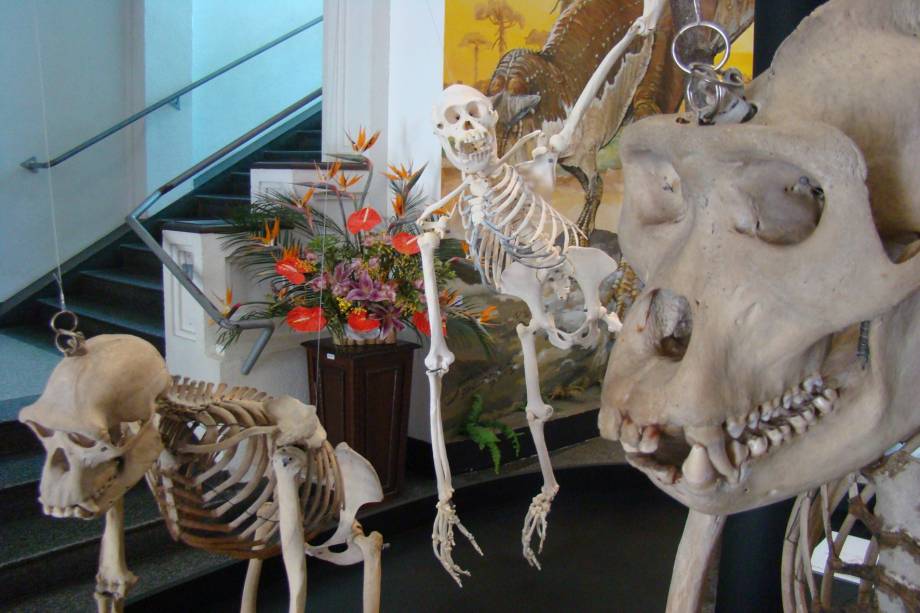 Bilhete Dois em Um: conheça dois acervos pagando um só bilhete Bilhete Dois em Um: conheça dois acervos pagando um só bilhete